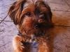 baby_01