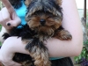 baby_02
