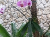 20130127_105407