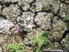 20130127_113141