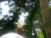 20130127_113710