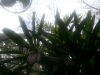 20130127_113841