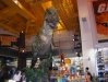 pb050181