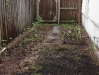img005_0